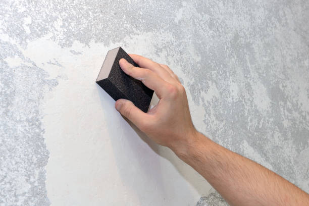 Best Crawl Space Mold Remediation  in Arcanum, OH