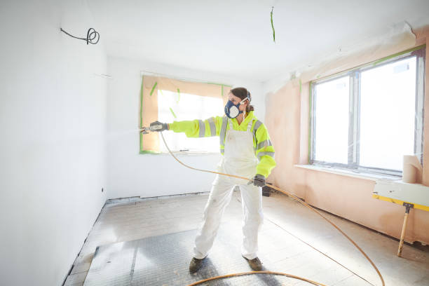 Best Environmental Consulting for Mold Prevention  in Arcanum, OH