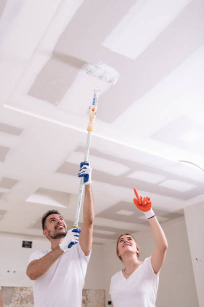 Best Industrial Mold Remediation  in Arcanum, OH