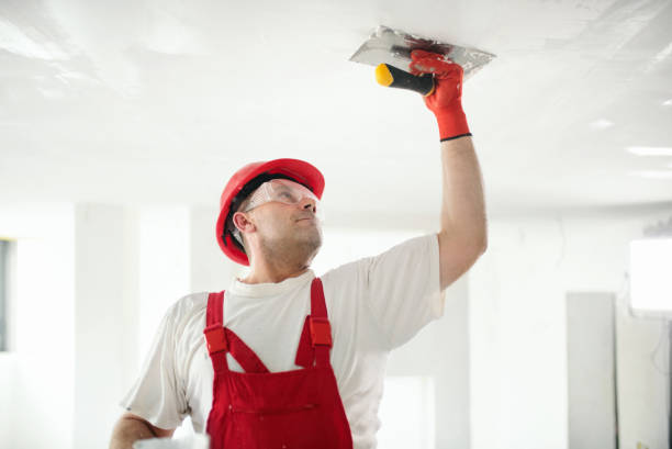 Arcanum, OH Mold Removal Company